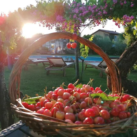 Podere Piandarca Tatil Evi Terranuova Bracciolini