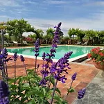 Podere Piandarca * Террануова-Браччолини