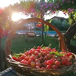 Podere Piandarca Дом отдыха Террануова-Браччолини