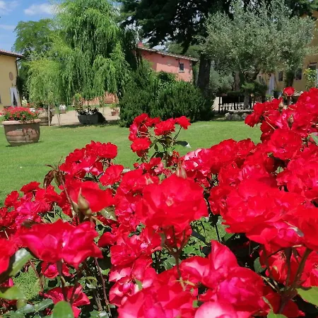 Podere Piandarca * Террануова-Браччолини