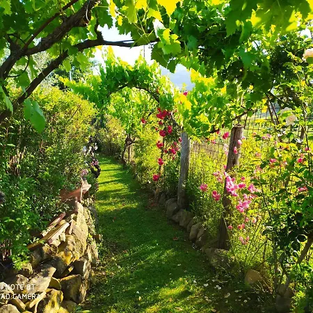 Podere Piandarca Дом отдыха *