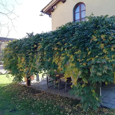 Podere Piandarca Террануова-Браччолини